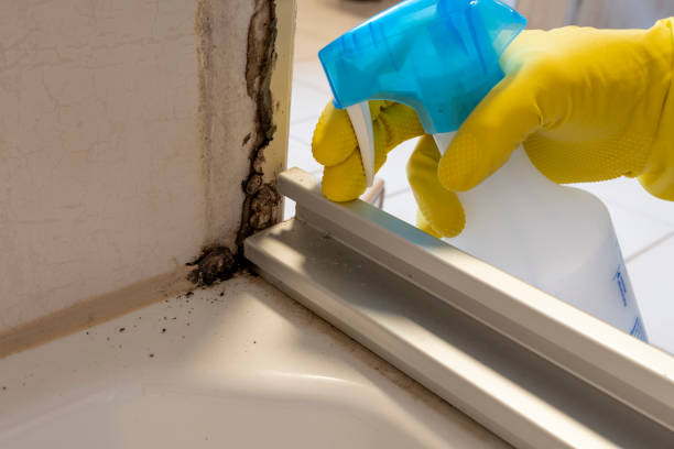 Best Residential Mold Removal  in Linglestown, PA