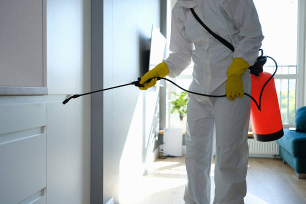 Best Professional Mold Removal  in Linglestown, PA